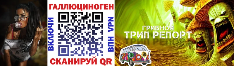 Галлюциногенные грибы Magic Shrooms  продажа наркотиков  мориарти клад  Тара 