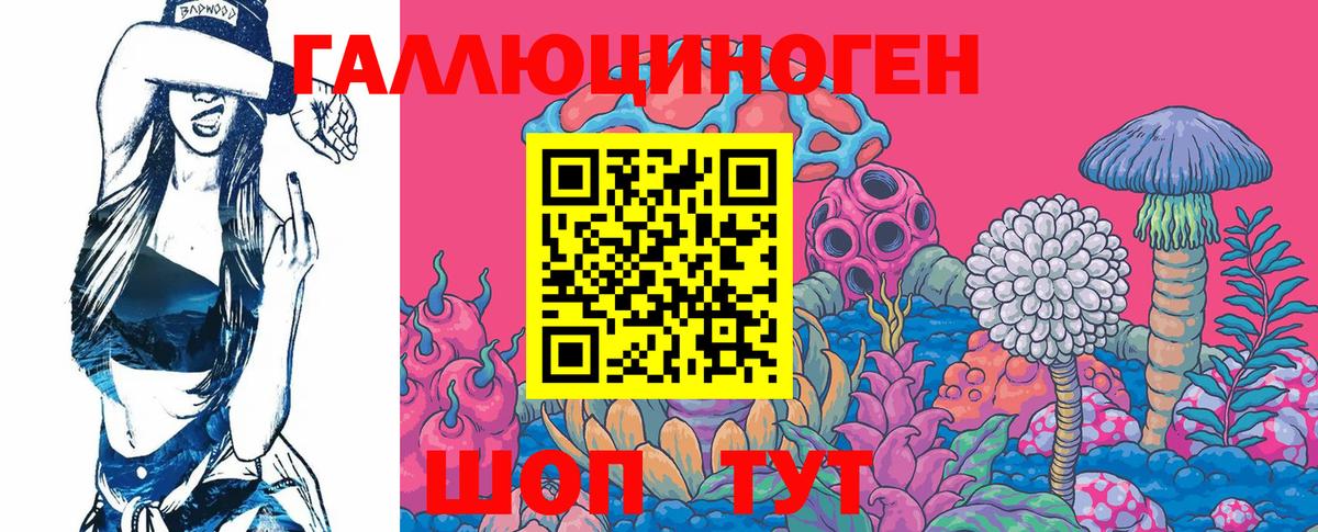 Псилоцибиновые грибы Cubensis Тара