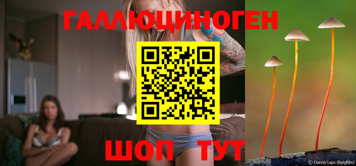 Галлюциногенные грибы Psilocybine cubensis  Псилоцибиновые грибы Magic Shrooms  Тара  Вход с VPN 